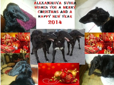 Alexandrova Svora - S Noviim Godom 2014